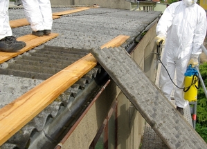 Asbestos abatement Asbestos abatement